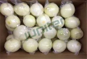 Frisch geschälte Zwiebel Vakuumverpackung