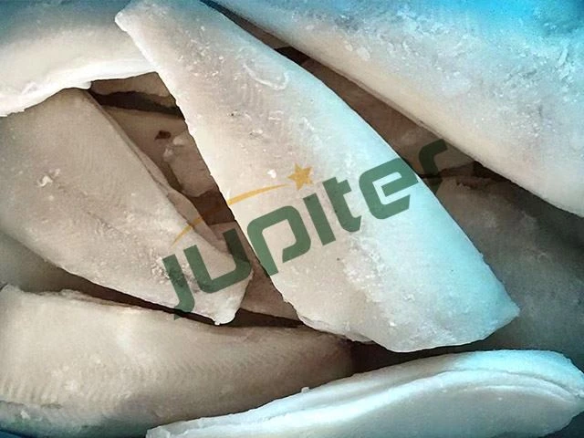 Frozen Greenland Halibut Fillet